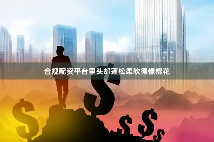 合规配资平台里头却蓬松柔软得像棉花